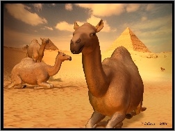 3D, Pustynia, Wielbłądy, Piramidy